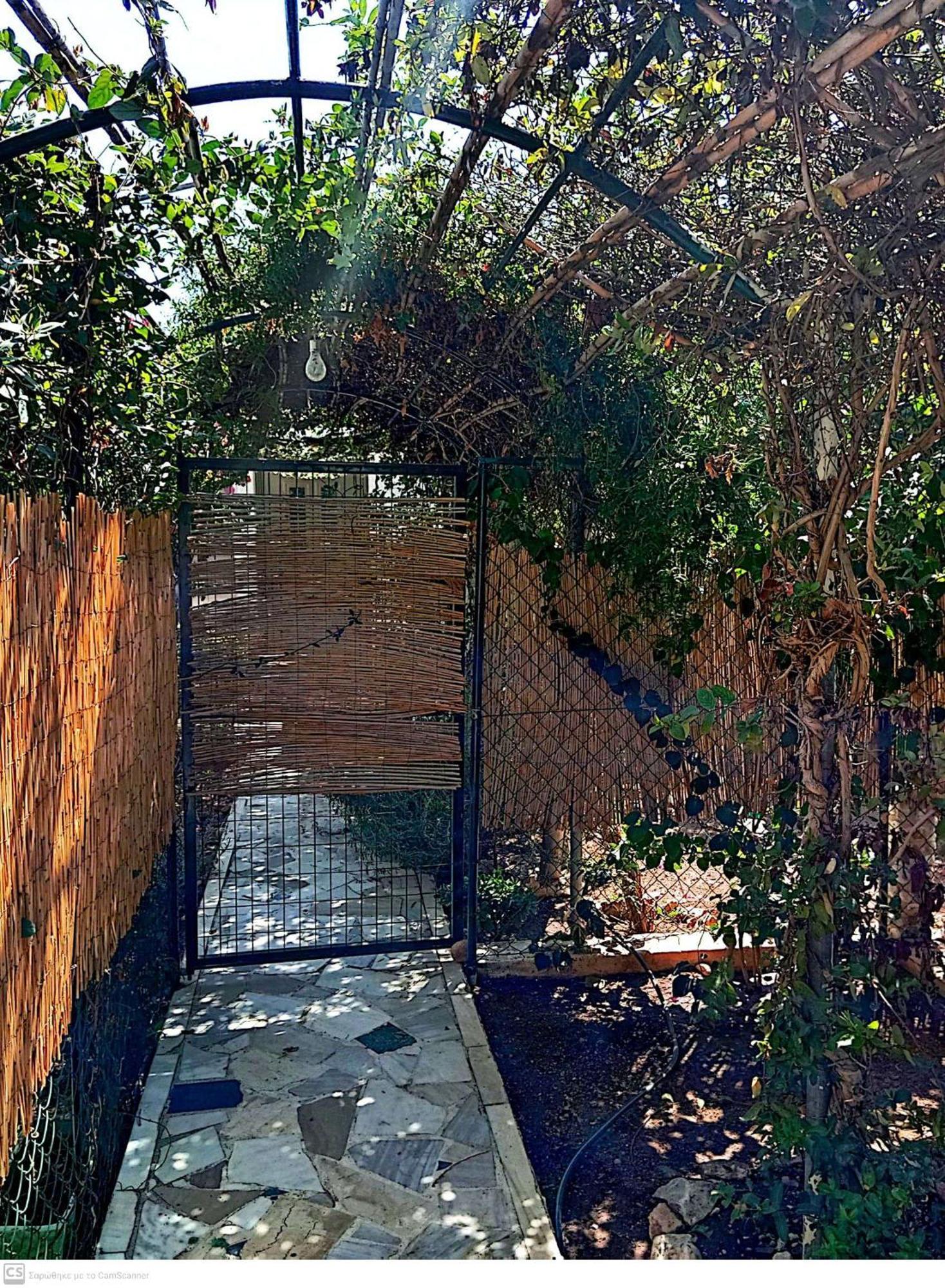 Εξοχικό Maria Villa Ambelakia Ngoại thất bức ảnh