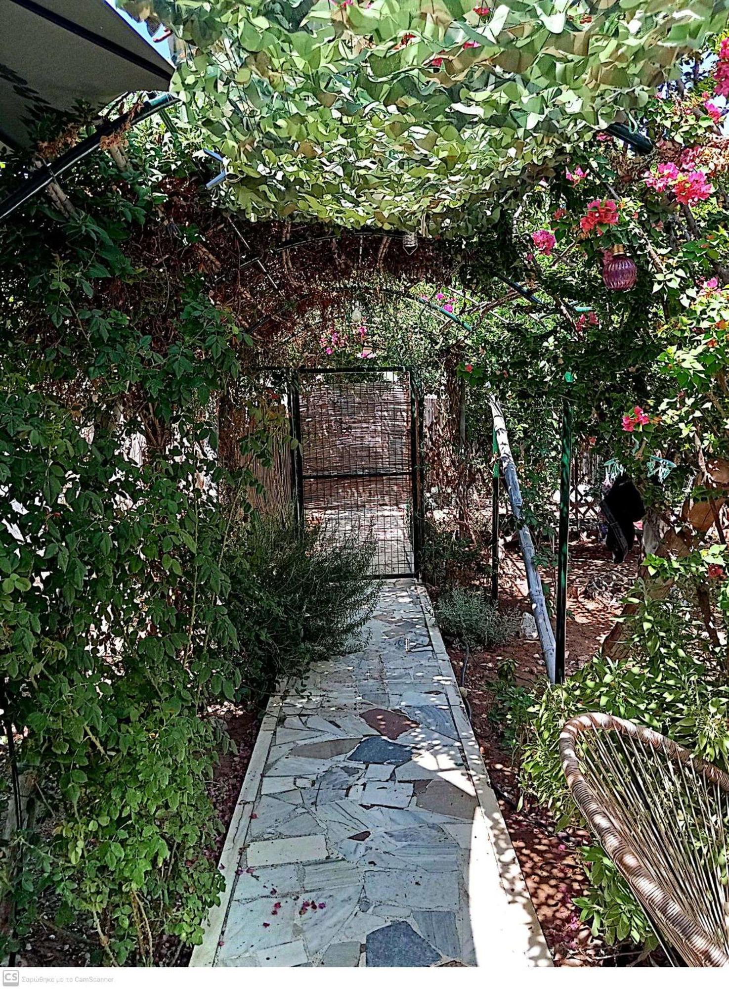 Εξοχικό Maria Villa Ambelakia Ngoại thất bức ảnh